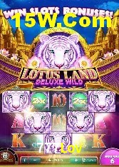 Experiência VIP 777Lov